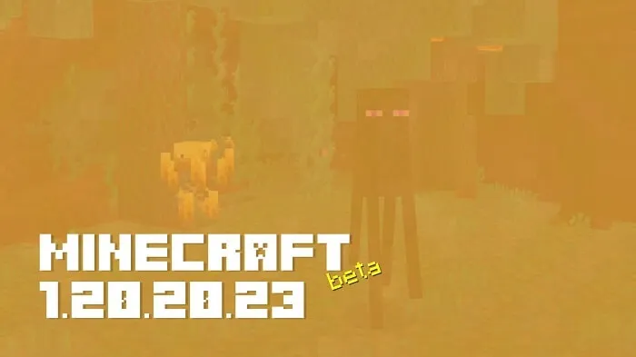 Minecraft 1.20.20.23