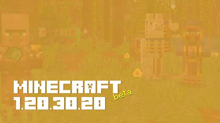 Minecraft 1.20.30.20