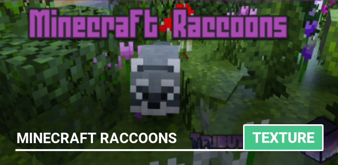 Texture: Minecraft Raccoons