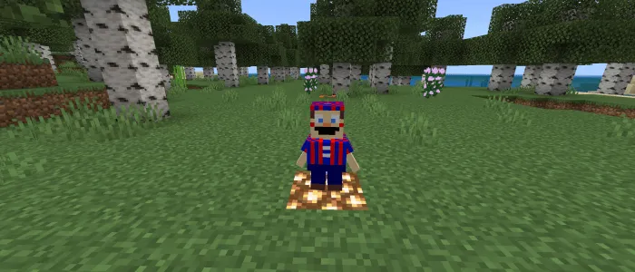 The boy with the balloon