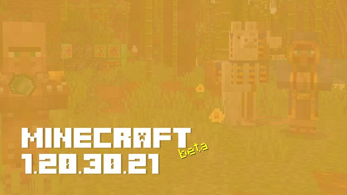 Minecraft 1.20.30.21