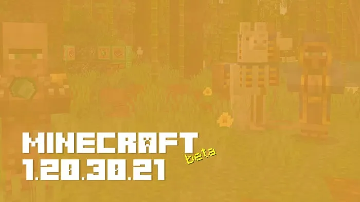 Minecraft 1.20.30.21