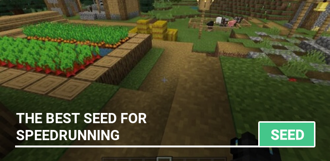 Seed: The Best Seed for Speedrunning