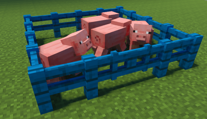 Свиньи в загоне