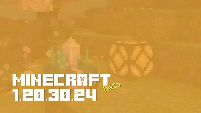 Minecraft 1.20.30.24