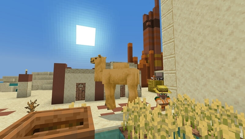 Camel in the village