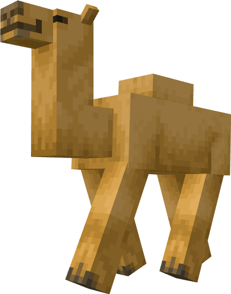 Camel