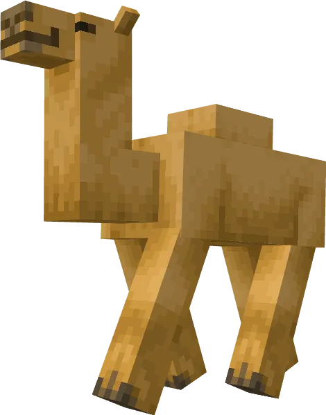 Camel