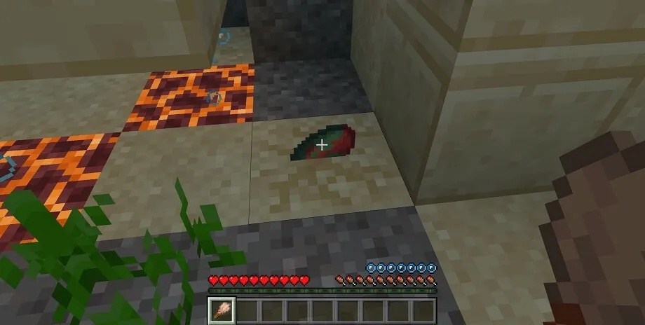 Sniffer Egg in Suspicious sand