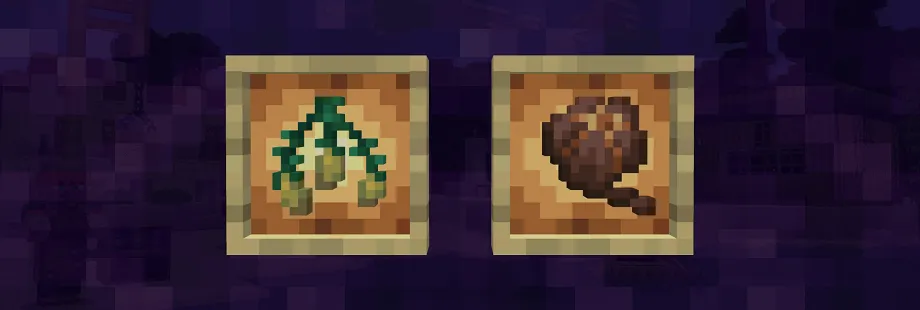 Torchflower seeds and Pitcher pod