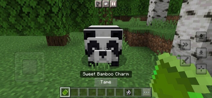 Приручение панды