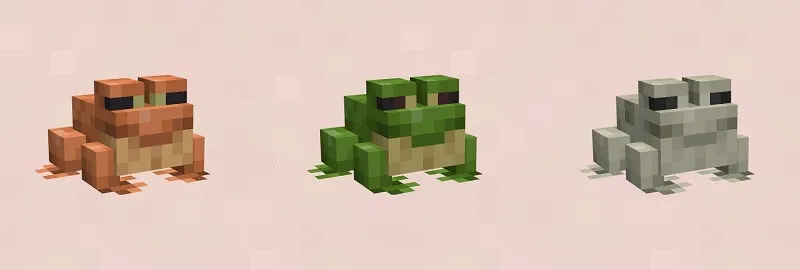 Orange, Green and White frogs