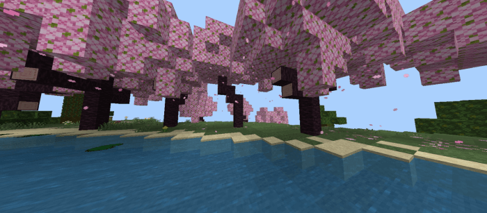 Деревья цветущей вишни