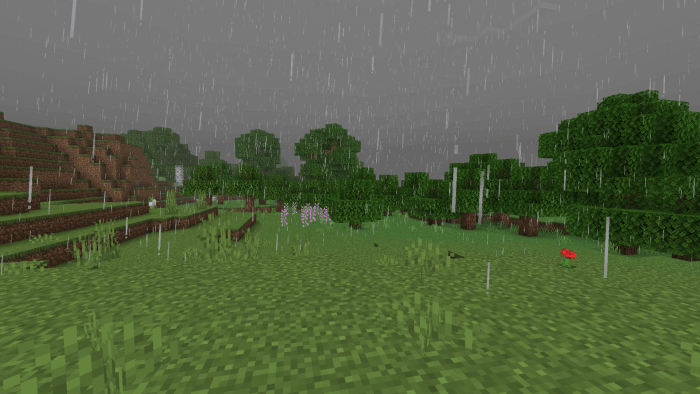 Дождь в поле