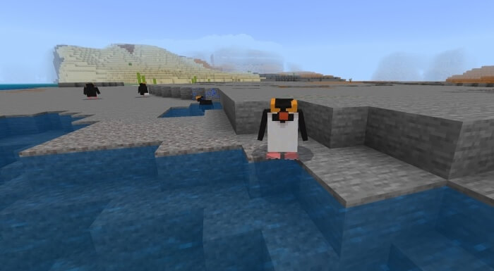 Penguin in stony shores biome