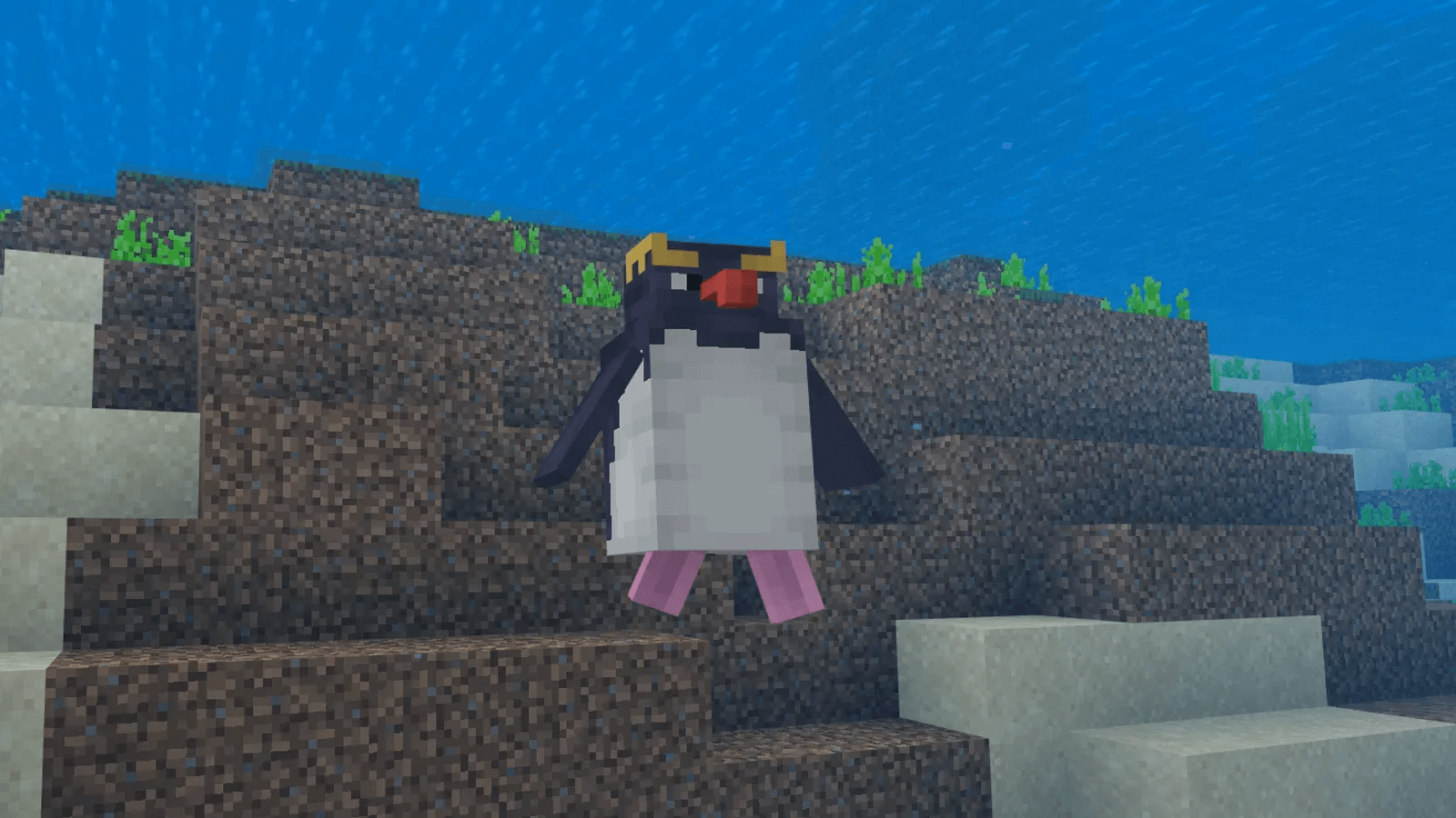 Пингвин в воде