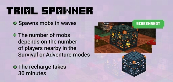 Trial Spawner from Minecraft 1.20.60.20