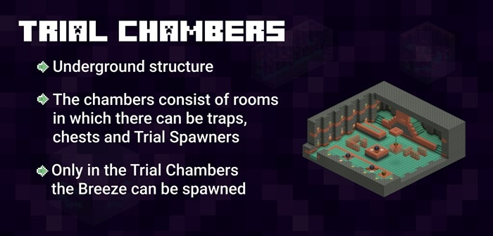 MINECRAFT 1.21 #minecraft
