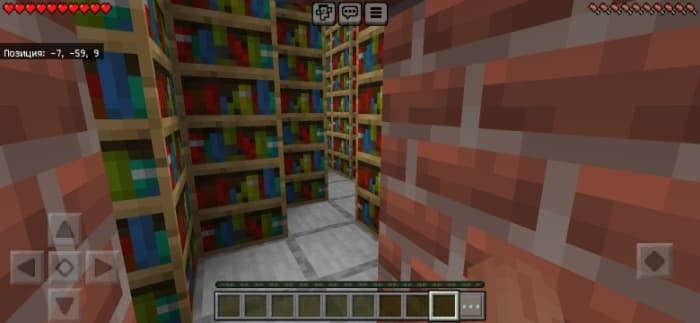 Bookshelves in the maze