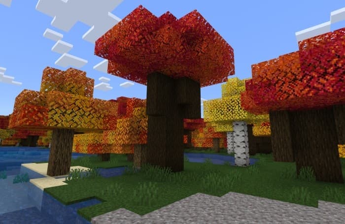 Осенняя листва на дубе