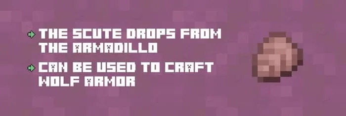 Armadillo Scute description