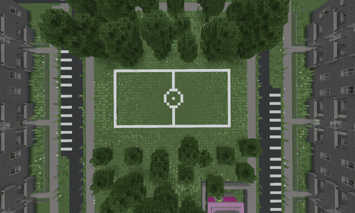 Футбольное поле в поселке