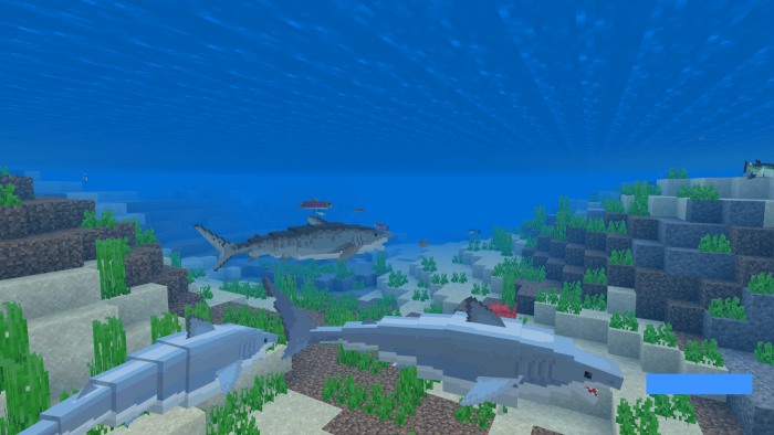 Акулы под водой