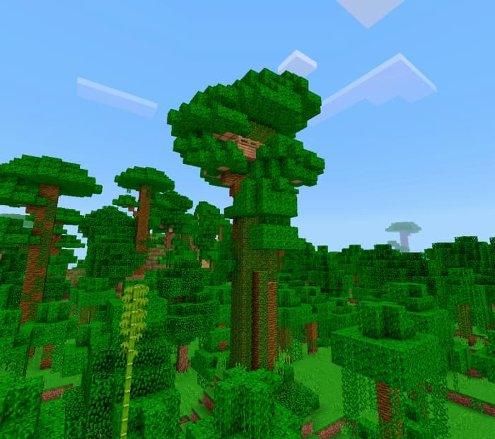 Дерево в джунглях с площадкой