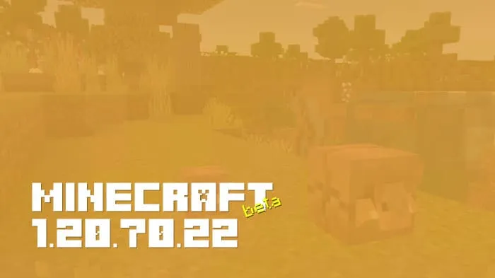 Minecraft 1.20.70.22