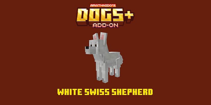 Собака белой швейцарской овчарки