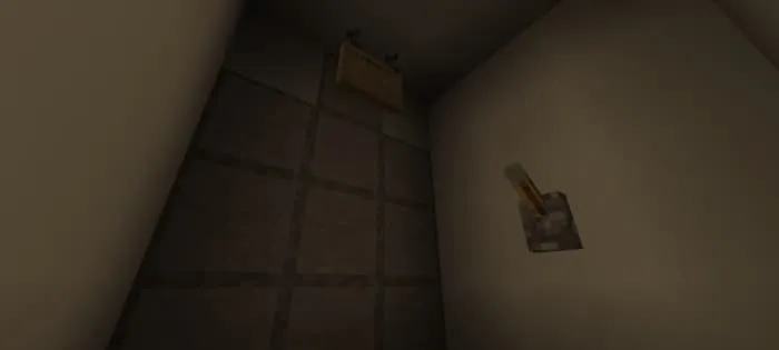 The lever and the closed door