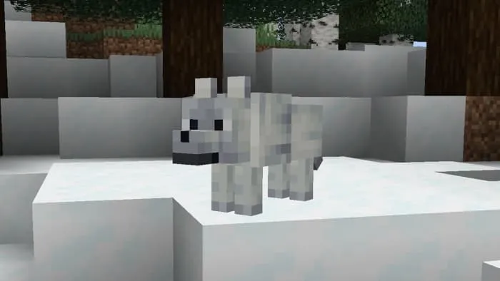 Snowy Wolf in thesnowy groves