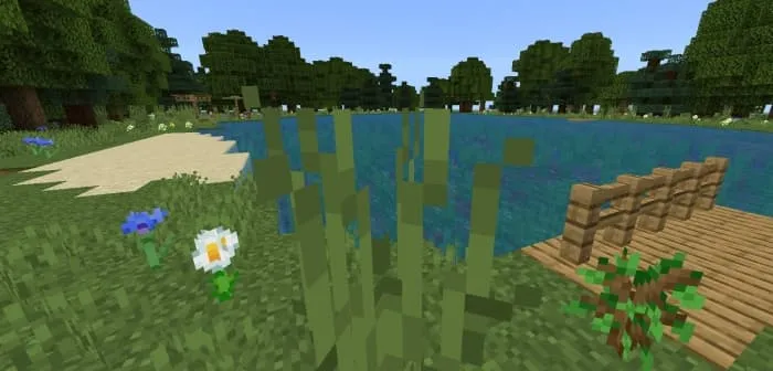 Lake and marina in the village