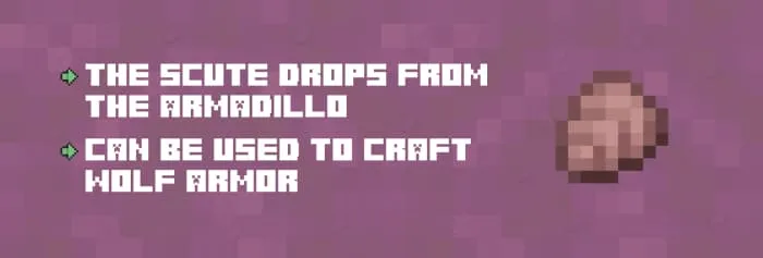 New Armadillo Scutes