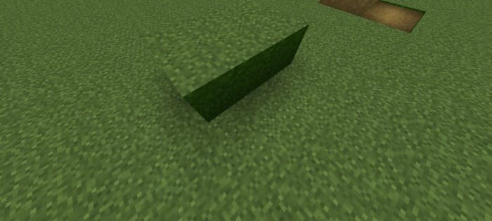 Новы вид блока травы