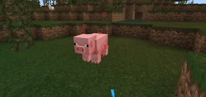 Зараженная свинья