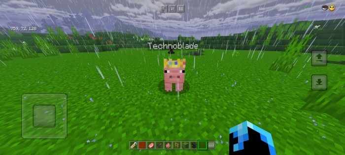 Свинка техноблейд
