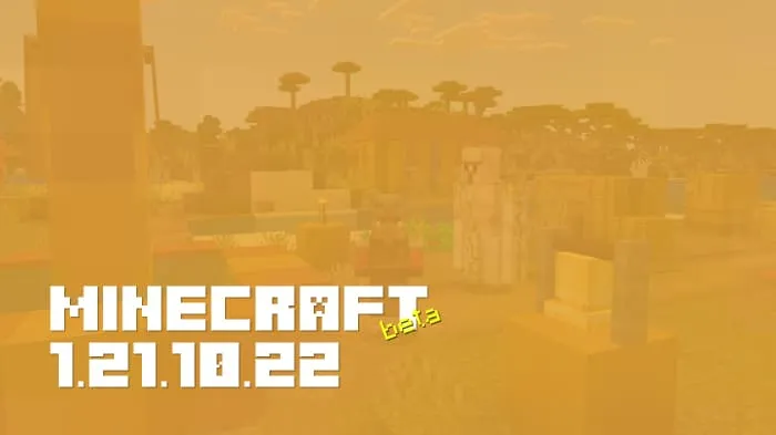 Minecraft 1.21.10.22