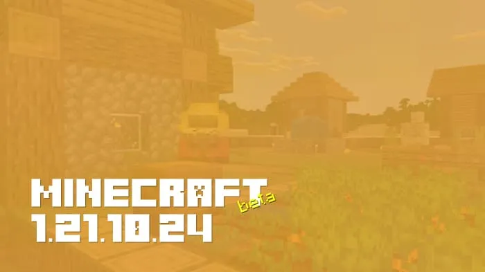 Minecraft 1.21.10.24