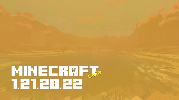 Minecraft 1.21.20.22