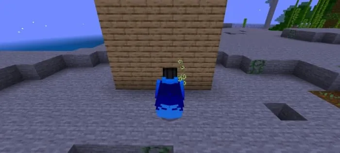 Blue elytra texture