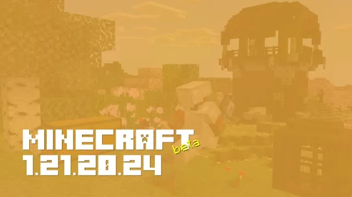 Minecraft 1.21.20.24