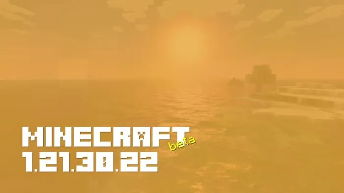 Minecraft 1.21.30.22