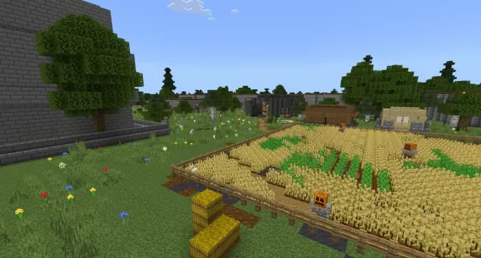 Wheat fields near the castle