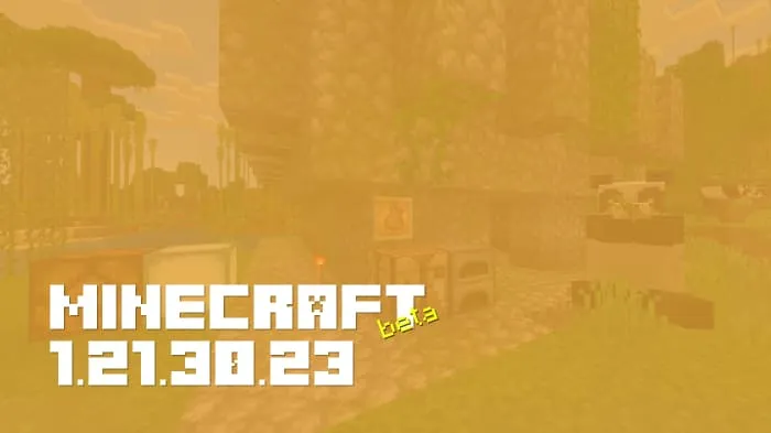 Minecraft 1.21.30.23