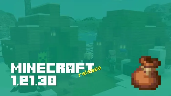 Minecraft 1.21.30.03