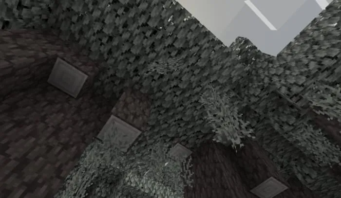 Pale Hanging Moss in biome