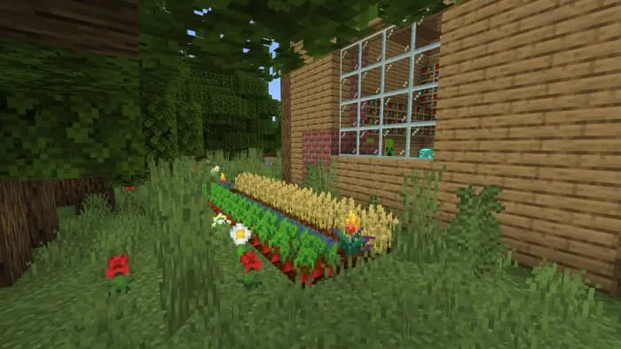 A farm from the beds next to the house