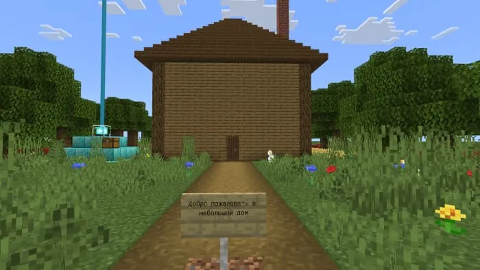 The path to the house