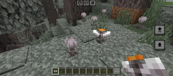 Eyeblossom flowers in Pale Garden